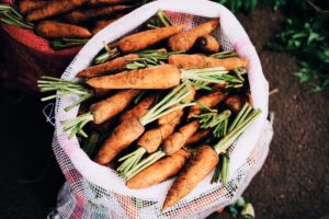 comment conserver les carottes